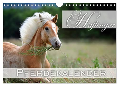 Haflinger/Geburtstagskalender (Wandkalender 2024 DIN A4 quer), CALVENDO Monatskalender