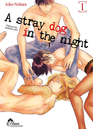 Stray Dog in the night - Tome 01 - Livre (Manga) - Yaoi - Hana Collection von IDP HOME VIDEO (Boy's Love)