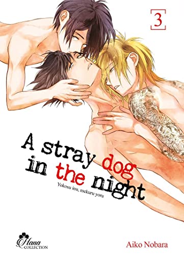 Stray Dog in the night - Tome 03 - Livre (Manga) - Yaoi - Hana Collection von IDP HOME VIDEO (Boy's Love)