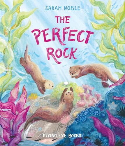 The Perfect Rock von Flying Eye Books