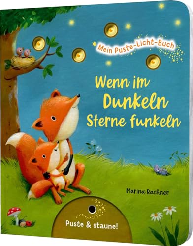 Mein Puste-Licht-Buch: Wenn im Dunkeln Sterne funkeln: Gute-Nacht-Buch mit Puste-Licht und LED-Lämpchen, Mitmachbuch für Kinder ab 18 Monaten