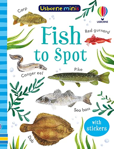 Fish to Spot (Usborne Minis)