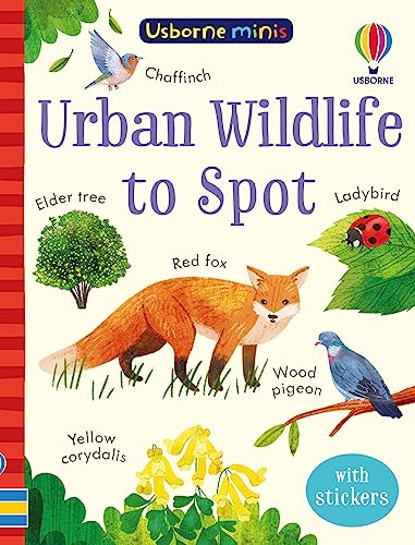 Urban Wildlife to Spot (Usborne Minis)