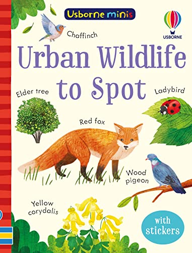 Urban Wildlife to Spot (Usborne Minis)