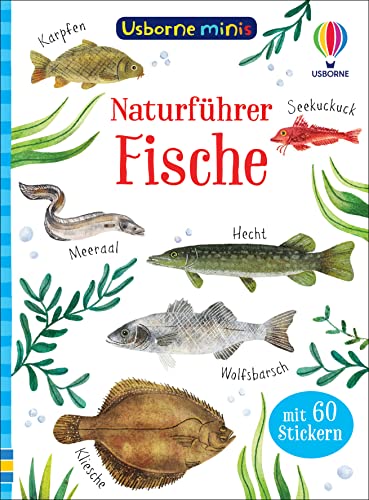Usborne Minis Naturführer: Fische: mit 60 Stickern (Usborne-Minis-Reihe) von Usborne Publishing