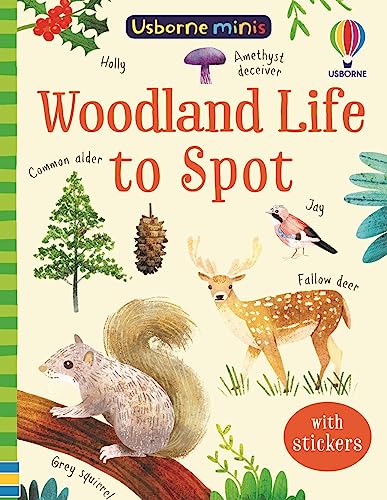Woodland Life to Spot (Usborne Mini Books): 1 (Usborne Minis)