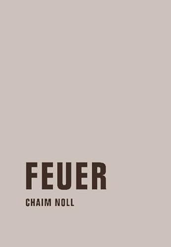 Feuer: Roman