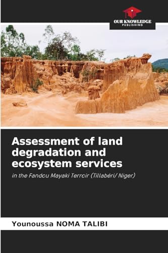 Assessment of land degradation and ecosystem services: in the Fandou Mayaki Terroir (Tillabéri/ Niger) von Our Knowledge Publishing