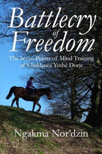 Battlecry of Freedom von Aro Books Inc.