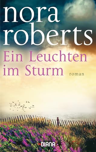 Ein Leuchten im Sturm: Roman von Diana Taschenbuch