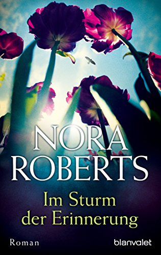 Im Sturm der Erinnerung: Roman von Blanvalet
