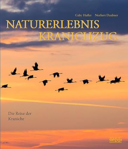 NATURERLEBNIS KRANICHZUG: Die Reise der Kraniche