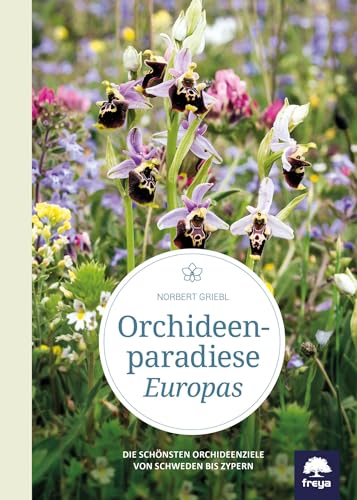 Orchideenparadiese Europas: Die schönsten Orchideenziele von Schweden bis Zypern