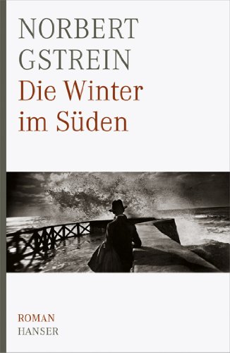 Die Winter im Süden: Roman