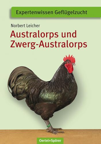 Australorps und Zwerg-Australorps (Expertenwissen Geflügelzucht) von Oertel Und Spoerer GmbH