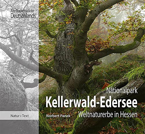 Nationalpark Kellerwald-Edersee: Weltnaturerbe in Hessen (Alte Buchenwälder Deutschlands) von Natur & Text