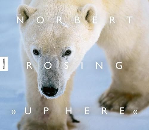 Up Here: Fotografische Abenteuer im hohen Norden