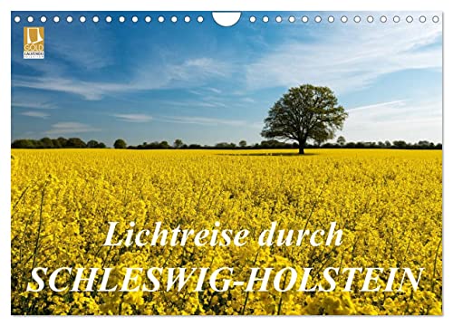 Lichtreise durch Schleswig-Holstein (Wandkalender 2024 DIN A4 quer), CALVENDO Monatskalender