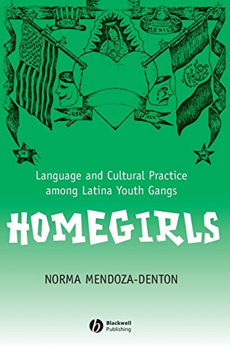 Homegirls: Language and Cultural Practice Among Latina Youth Gangs: Language and Cultural Practices Among Latina Youth Gangs (New Directions in Ethnography, 2, Band 2)