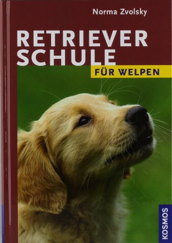 Retrieverschule für Welpen Retrieverschule für Welpen