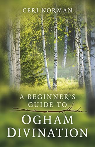 A Beginner's Guide to Ogham Divination (Paganism & Shamanism) von John Hunt Publishing