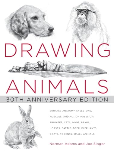 Drawing Animals: 30th Anniversary Edition von Watson-Guptill