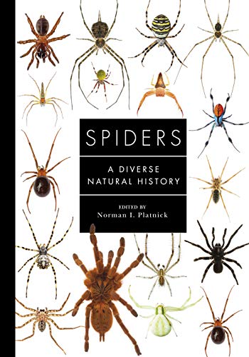 Spiders of the World: A Natural History von Ivy Press