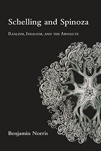 Schelling and Spinoza: Realism, Idealism, and the Absolute von SUNY Press
