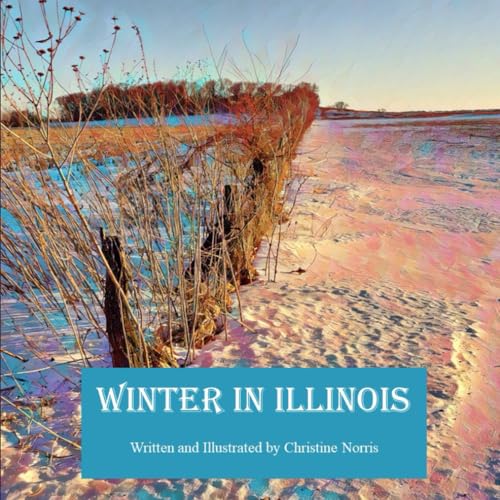 Winter in Illinois: A Snowy Tale of Joy, Traditions, and the Enchanting Land of Lincoln von Christine Norris