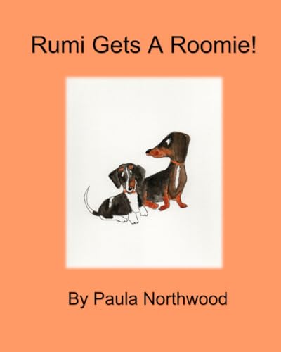 Rumi Gets A Roomie! von ISBN Services