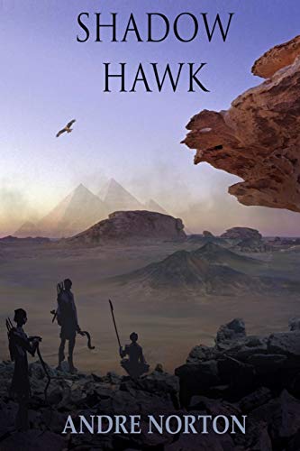 Shadow Hawk von Ethan Ellenberg Literary Agency