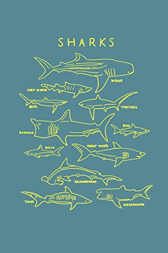 Sharks: Shark Notebook - Journal (Composition Book, Journal) (6 x 9) von CreateSpace Independent Publishing Platform