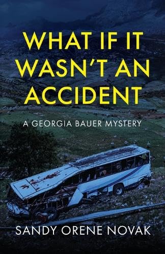 What if it Wasn't an Accident: A Georgia Bauer Mystery von Palmetto Publishing