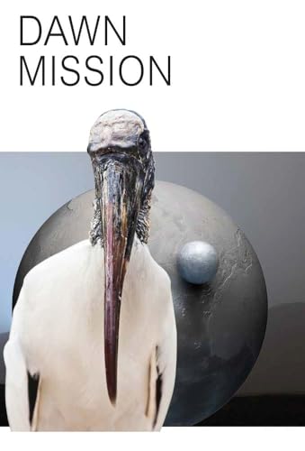 Dawn Mission