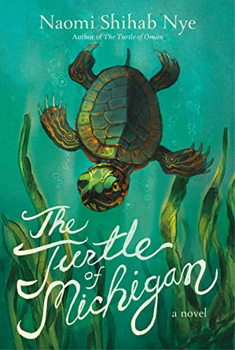 The Turtle of Michigan: A Novel von Greenwillow Books