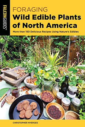 Foraging Wild Edible Plants of North America: More Than 150 Delicious Recipes Using Nature's Edibles (A Falcon Guide) von Falcon Guides