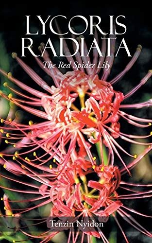 Lycoris Radiata: The Red Spider Lily von Partridge India