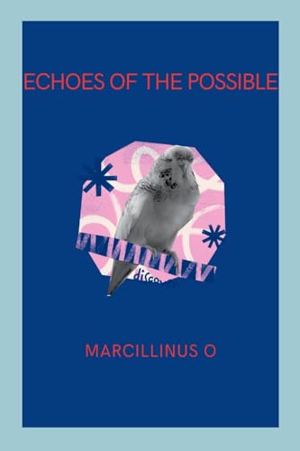 Echoes of the Possible von Marcillinus