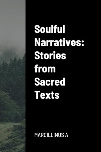 Soulful Narratives: Stories from Sacred Texts von Marcillinus