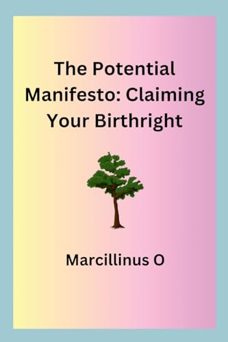 The Potential Manifesto: Claiming Your Birthright von Marcillinus