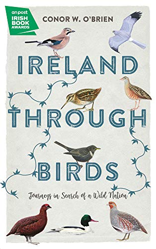 Ireland through Birds: Journeys in Search of a Wild Nation