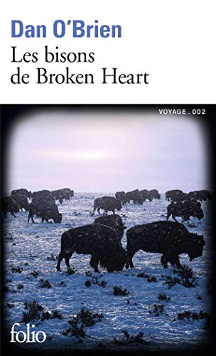Bisons de Broken Heart (Folio) von Gallimard Education