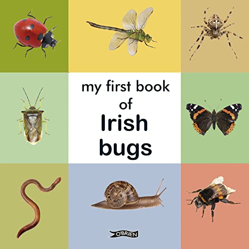 My First Book of Irish Bugs (First Steps)