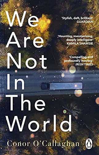 We Are Not in the World: ‘compelling and profoundly moving’ Irish Times von Penguin