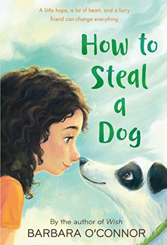 How to Steal a Dog von Square Fish