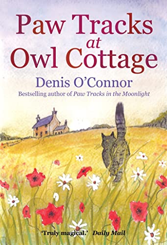 Paw Tracks at Owl Cottage von Constable