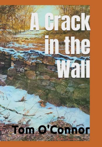 A Crack in the Wall von Independently published