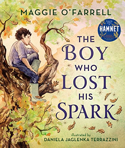 The Boy Who Lost His Spark von WALKER BOOKS