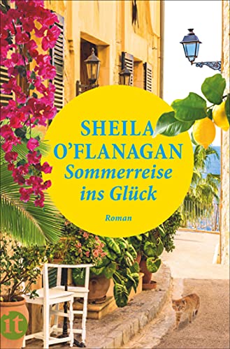 Sommerreise ins Glück: Roman (insel taschenbuch)