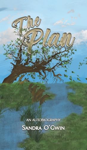 The Plan von Austin Macauley